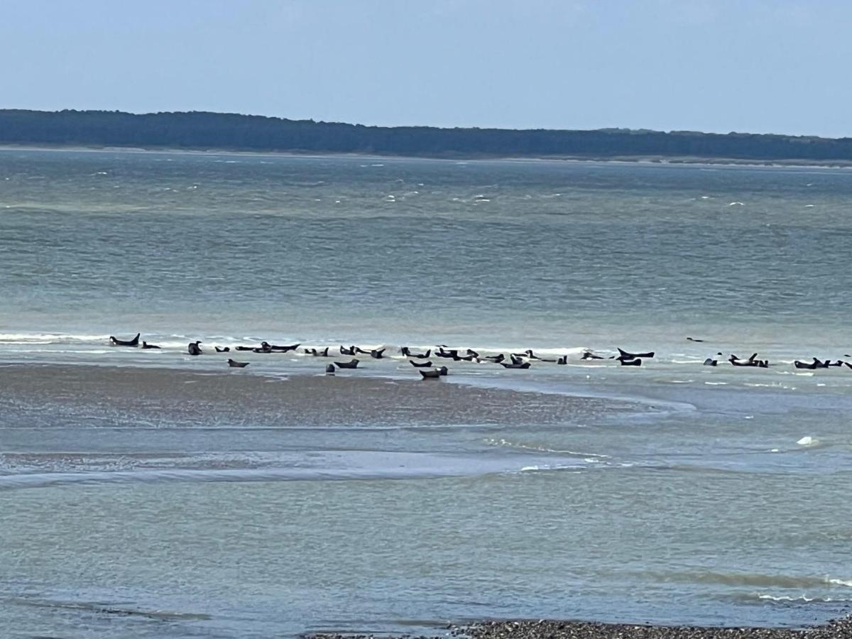 Plage A 50M Appartement Reves Tranquilles Villa Les Bains De Mers Zewnętrze zdjęcie